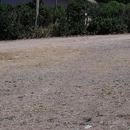 Apartment - Costa - Marina Di - Iun P5515 Arbus